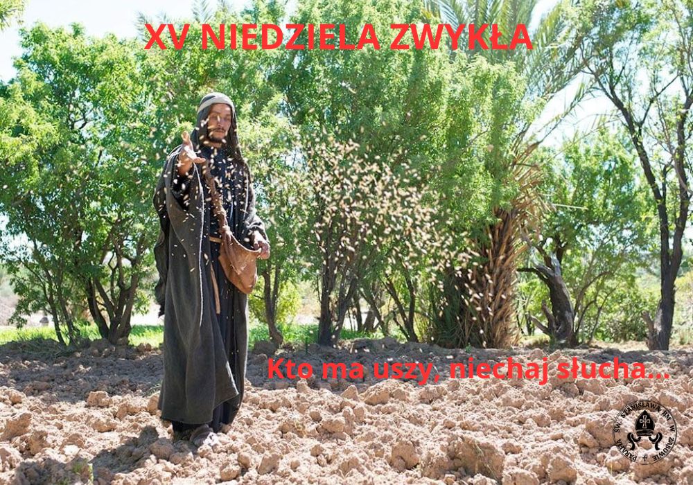 XV NIEDZIELA ZWYKŁA 2026